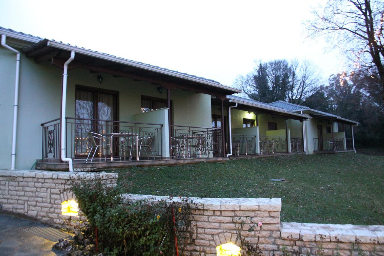 Thea Dodoni Hotel Manteíon Exterior foto